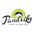 Logo for Pandriks, an innius customer